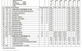 Linia L2 Wielopole - Bronisz&oacute;w - Wielopole  