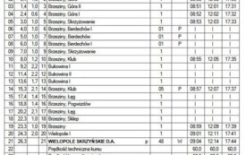 Linia L1 Brzeziny - Wielopole 