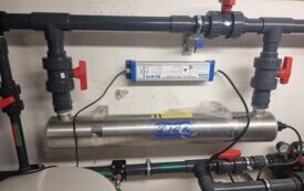 thumb_20241213_110507.1334x750_q85_crop-scale