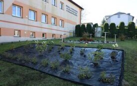 thumb_img2024102311133336.1334x750_q85_crop-scale