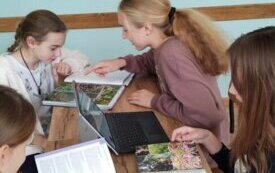 thumb_img20241023111313.1334x750_q85_crop-scale