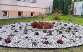 thumb_img20241023110150.1334x750_q85_crop-scale