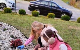 thumb_img20241023105440.1334x750_q85_crop-scale