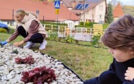 thumb_img20241023105334.1334x750_q85_crop-scale