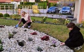 thumb_img20241023105325.1334x750_q85_crop-scale