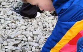 thumb_img20241023105317.1334x750_q85_crop-scale