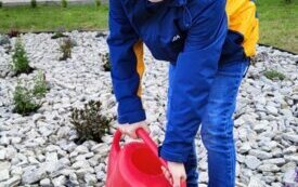 thumb_img20241023105309.1334x750_q85_crop-scale