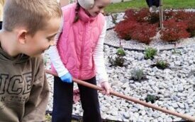 thumb_img20241023105246.1334x750_q85_crop-scale