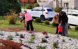 thumb_img20241023105229.1334x750_q85_crop-scale