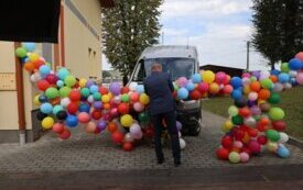 thumb_img_7391.1334x750_q85_crop-scale