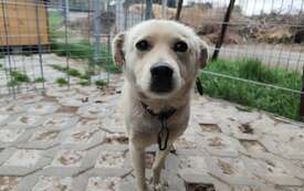 8e237862-4c37-4790-96c3-e3784aae496b