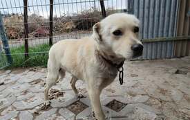 ff5247b3-4763-4758-bec3-ea680778b63d