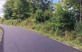IMG_20260721_101746