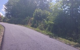 IMG_20260720_140321