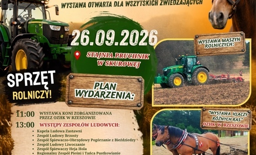 zdjęcia